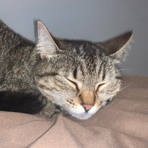 Meet your Posher, Madison